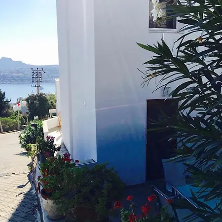 Ocean Front House *